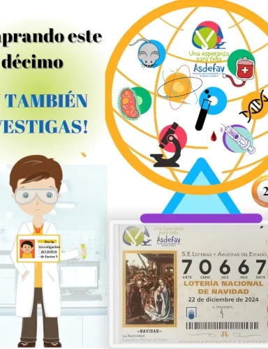 Lotería solidaria 2024