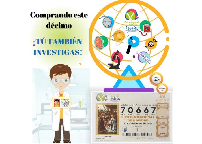 Lotería solidaria 2024