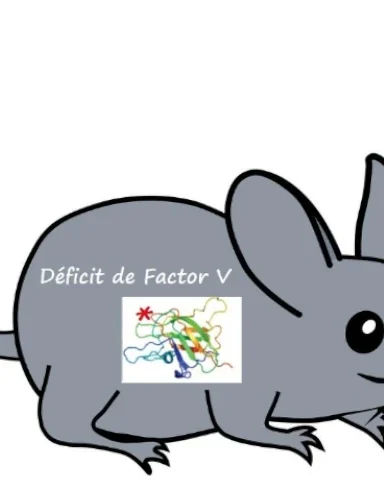 Modelo animal deficiente en factor V