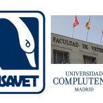 El Teatro Infanta Leonor acogerá la VI Gala de Humor por las enfermedades raras dentro de la Feria de San Lucas